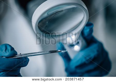 Forensic Science. Female Analyzing Samples In The Lab. Toned Image