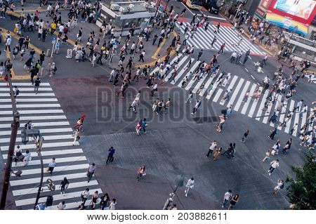 TOKYO, JAPAN JUNE 28 - 2017: Top view of crowd of people crossing in Shibuya street, one of the busiest crosswalks in the world, in the Ginza District in Tokyo, Japan.