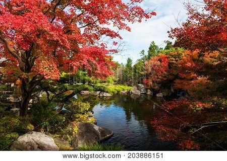 Koko-en garden with fall foliage colors near the small pond in Himeji Japan. Here is very famous to see autumn foliage colors during November