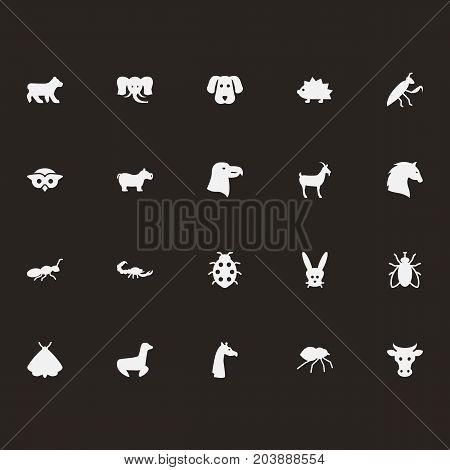 Collection Of Housefly, Poisonous, Kine And Other Elements.  Set Of 20 Alive Icons Set.