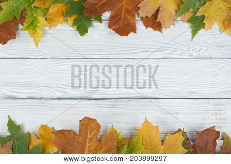 Background with red, orange, brown and yellow falling autumn set leaves