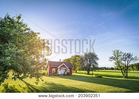 Small red house on a swedish countryside landscape in the summer with green fields and blue sky