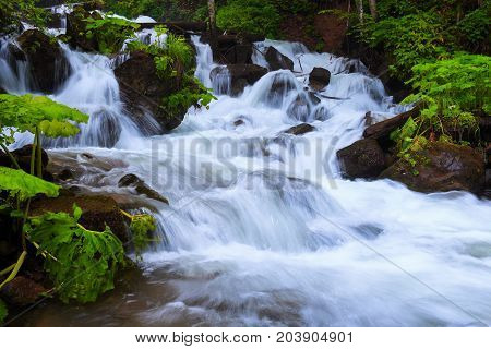In the beautiful green forest on the huge rocks the fast tempestuous mountain waterfall flows.