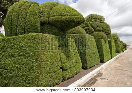May 16 2017 Tulcan Ecuador: elaborate topiary in the high altitude border town famous cemetery