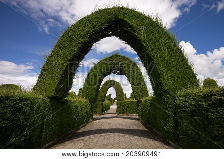 May 16 2017 Tulcan Ecuador: cypress arches in the famous tourist destination cemetery of the border town