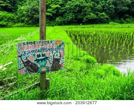 KYOTO, JAPAN - JULY 05, 2017: Informative sign with draw in a rice field in Japan.