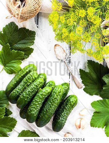 Young green small cucumbers for pickling. Marinated and canned food. Organic fresh vegetables in high key on light wooden background. Preparation for canning. Summer Pickles. Top view.