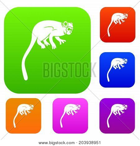Marmoset monkey set icon color in flat style isolated on white. Collection sings vector illustration