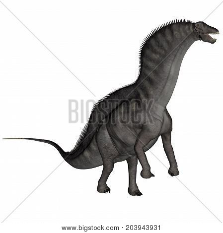 Amargasaurus dinosaur standing up isolated in white background - 3D render
