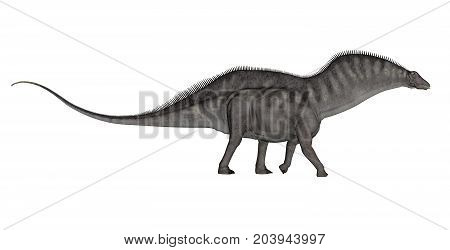 Amargasaurus dinosaur walking isolated in white background - 3D render