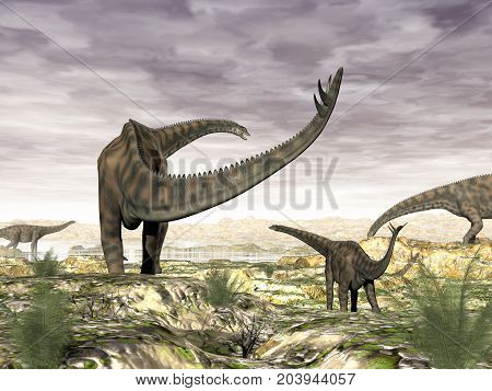 Spinophorosaurus dinosaurs herd going to drink by sunset - 3D render