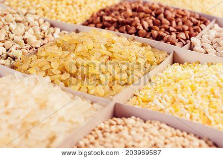 Assortment different groats with blur closeup. Wheat pearl bulgur millet rice couscous semolina corn grits buckwheat quinoa.