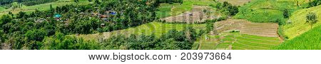 Rice terrace and mountain with the rain storm at the background at Pa Bong Piang near Inthanon National Park and Mae Chaem Chiangmai Thailand.