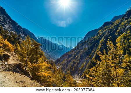 Valley and Mountains View in Himalaya. Gangotri glacier Gaumukh India.