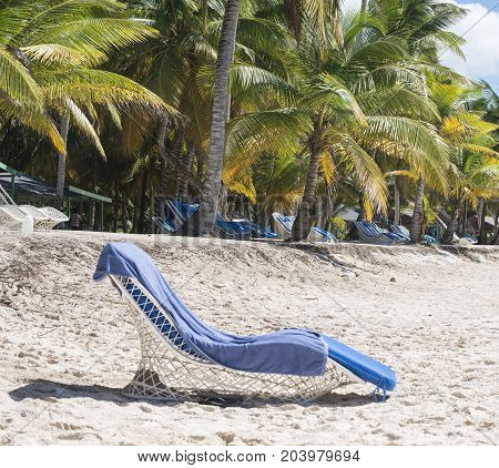 Caribbean sea with turquoise water and palms close to Saona island
