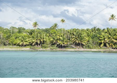 Caribbean sea with turquoise water and palms close to Saona island