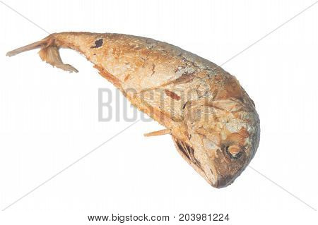 the big Fried Mackerel isolate on white