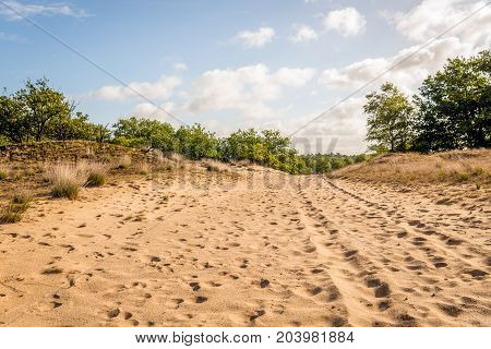 Dunes and sand-drift in a Dutch national park early in the morning on a sunny day in the summer season.