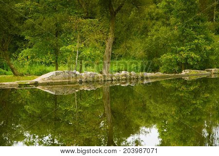 A beautiful reflected landscape of a forest near the river. Green autumn scenery.