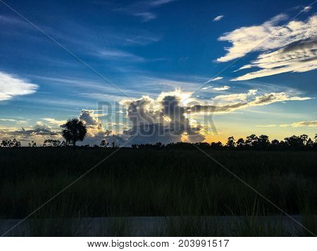 Beautiful And Peaceful Sunset In The Marshes Of A Swamp