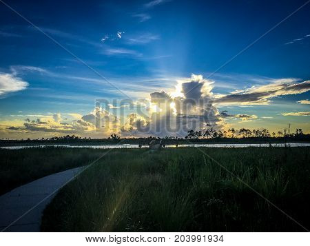 Beautiful And Peaceful Sunset In The Marshes Of A Swamp
