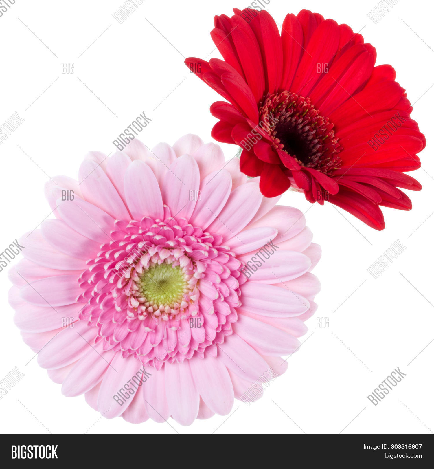 Bouquet Two Pink Red Image Photo Free Trial Bigstock