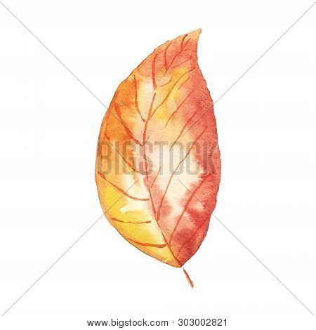 Watercolor Autumnal Leaf. Yellow And Orange Shades. Hand Painted Isolated Leaf.