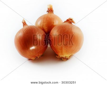 Bollen van UI