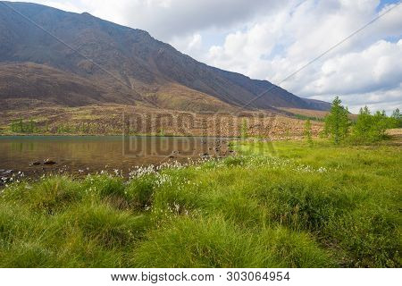 August In The Polar Urals. Yamalo-nenets Autonomous District, Russia