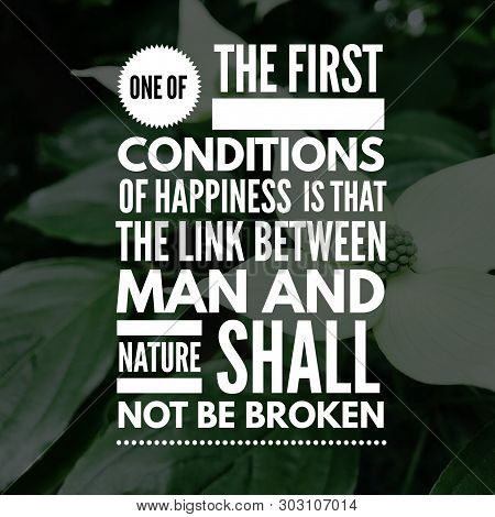 Lettering Motivation Quotes And Happiness Quotes For Life. Calligraphy Inspirational Quote