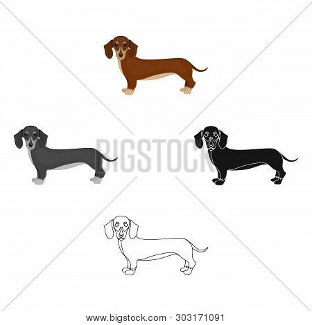 Dachshund, Single Icon In Cartoon, Black Style.dachshund, Vector Symbol Stock Illustration Web.