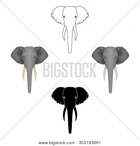 Elephant Icon In Cartoon, Black Style Isolated On White Background. Realistic Animals Symbol Stock V