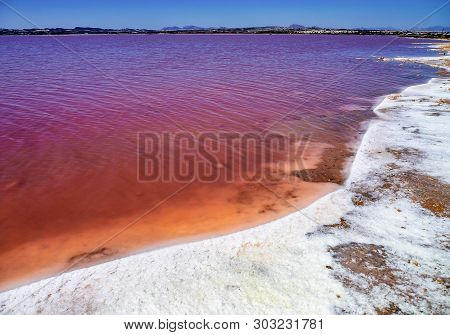 Laguna Salada In Torrevieja, Spain. Pink Salted Lake. Salinas Natural Park.