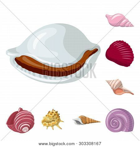 Vector Design Of Seashell And Mollusk Logo. Collection Of Seashell And Seafood  Stock Vector Illustr