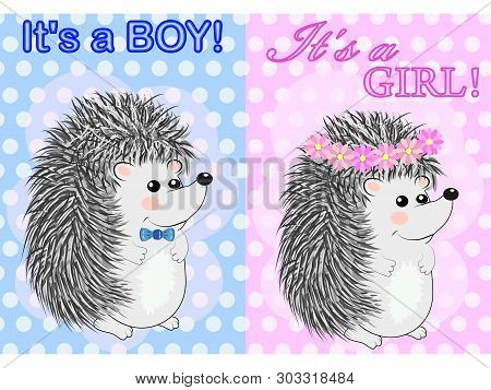 Baby Shower Greeting Card With Babies Hedgehog Boy And Girl