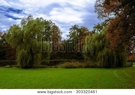 A Natural Park On A Castle Grounds