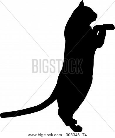 Cat Black Silhouette Logo Icon On White Background