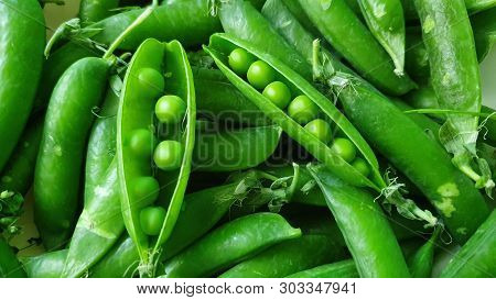 Green Sugar Snap Peas With Pods. Some Open.