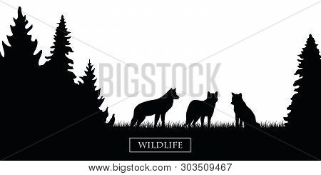 Wildlife Wolfs Pack Silhouette In The Forest On The Meadow Black And White Vector Illustration Eps10