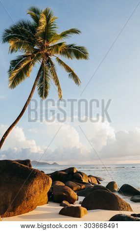 Beautiful Beach In Seychelles With Rocks And Palm Trees, Indian Ocean And Picturesque Sky.