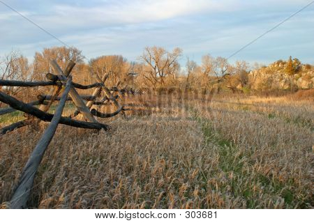 Old Wooden Fence