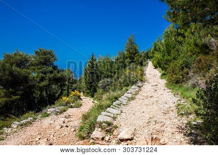 Mount Srd Walking Trail In A Beautiful Early Spring Day