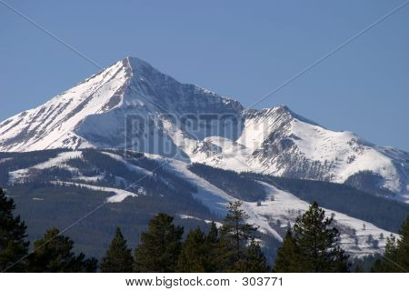 Majestuoso solitario