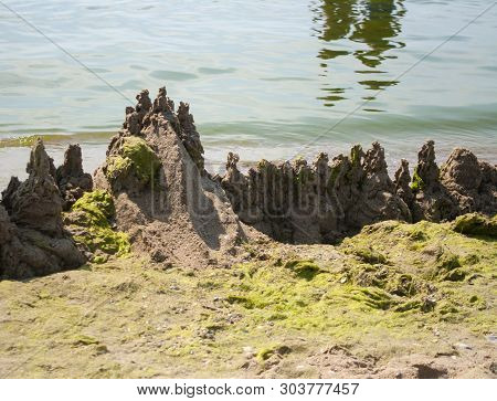 Beautiful Seascape. The Tower And The Hills Of Sand