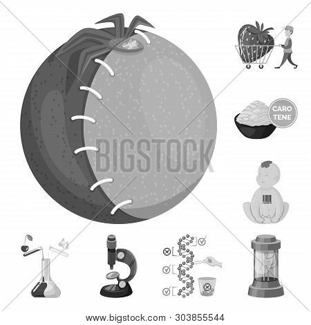Vector Design Of Transgenic And Organic Sign. Collection Of Transgenic And Synthetic Stock Symbol Fo