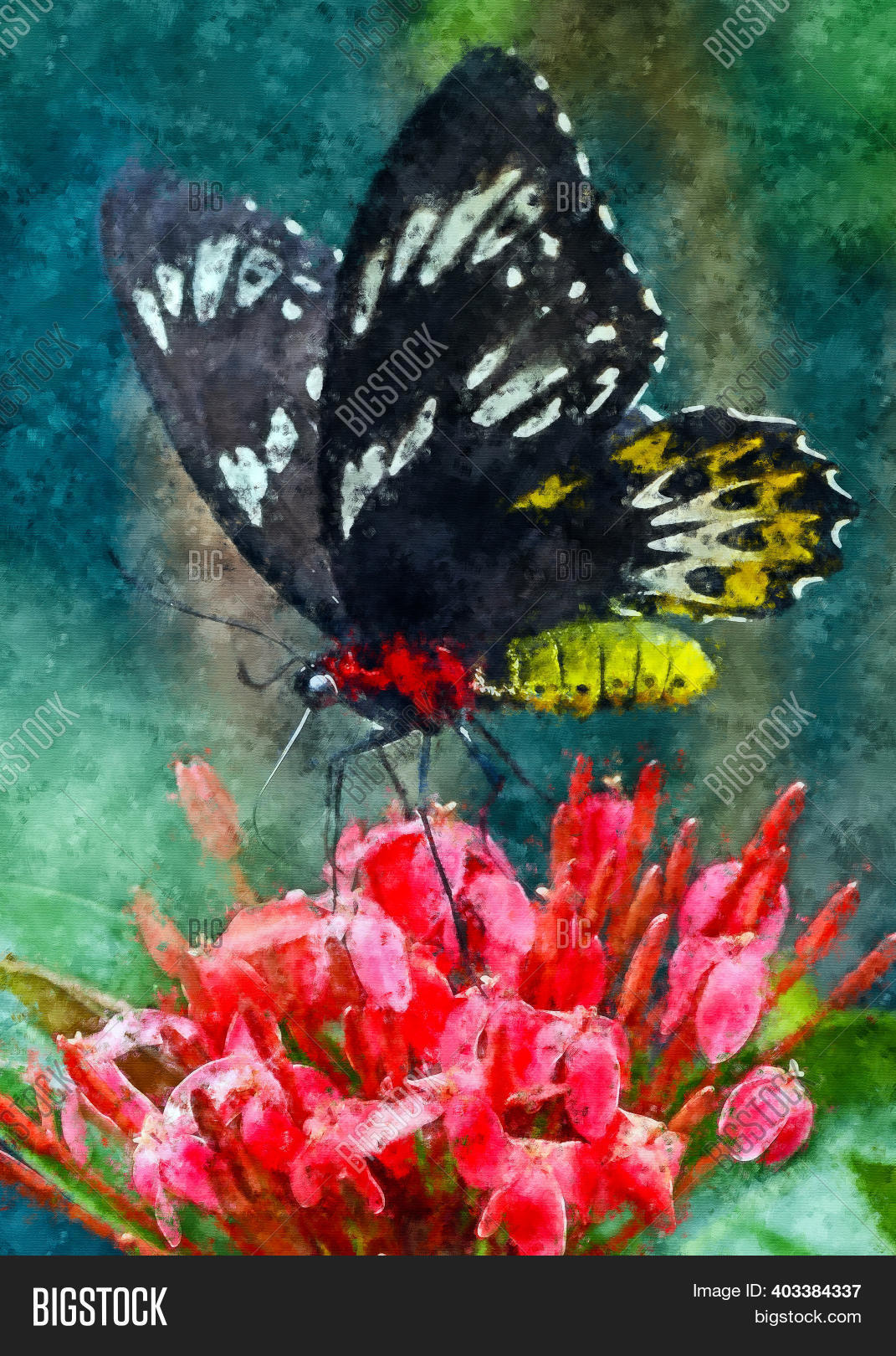 Beautiful Acrylic Image \u0026 Photo (Free Trial) | Bigstock, image size:1071x1620