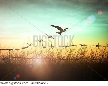International Day For The Remembrance Of The Slave Trade And Its Abolition Concept: Silhouette Of Bi