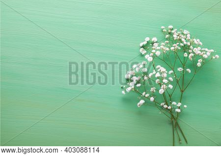 Few twigs  of Gypsophila flowers lay on light green  wooden table. Top view with copy space. Flat lay
