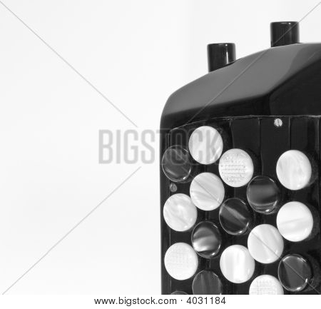 Concert Accordion Detail