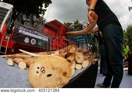 Bangkok ,thailand-august 26 , 2015 : Government Officials An Unknown Man Is Destroying The Seized Iv
